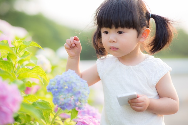 【テファリキ】子どもの能力を伸ばす教育方針を家庭へ【提案】