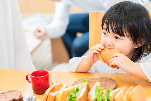 【ホイシス】園日誌、検食簿、児童保育要録出力機能【機能追加】